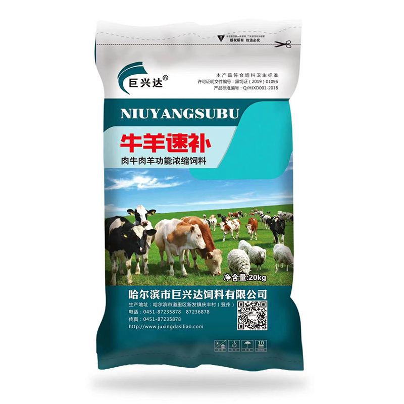 牛羊速補